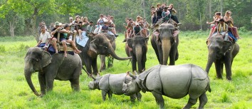 Koshi Tappu Wildlife Reserve Camp Tour